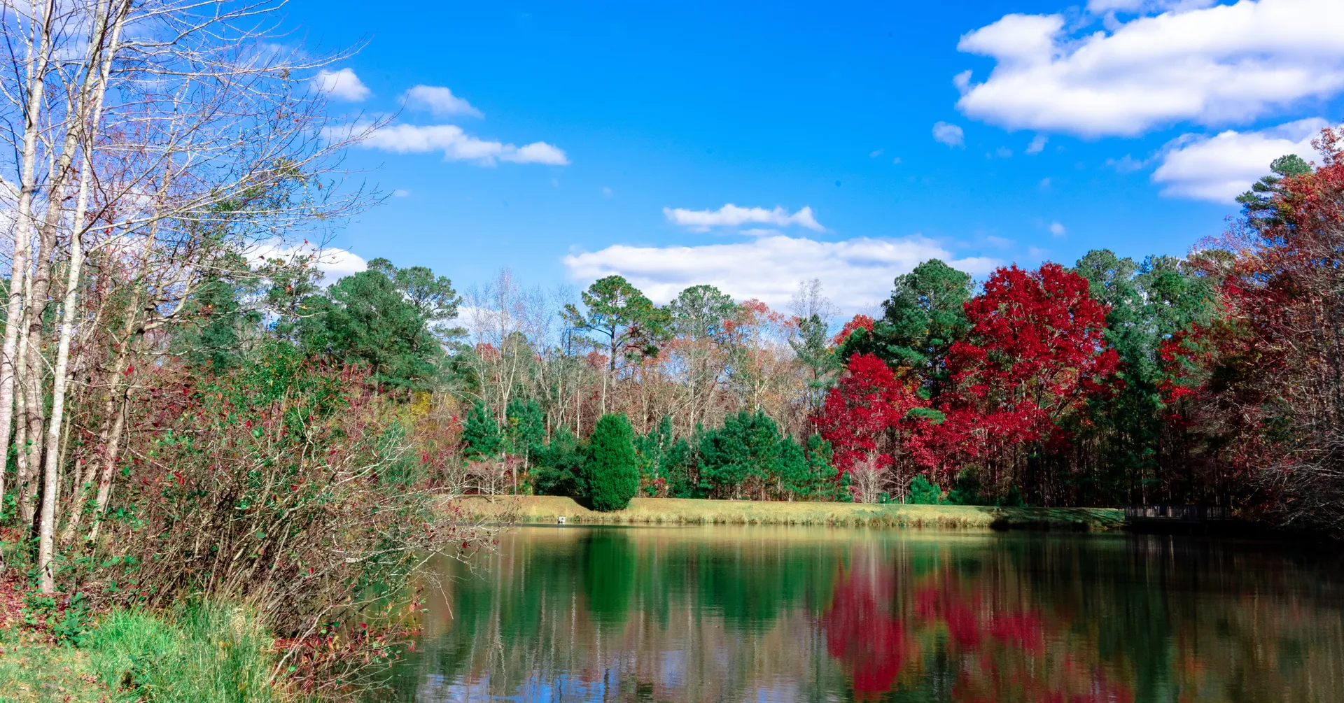 Virgo Sins OnlyFans header