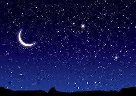 Vita Vega OnlyFans header