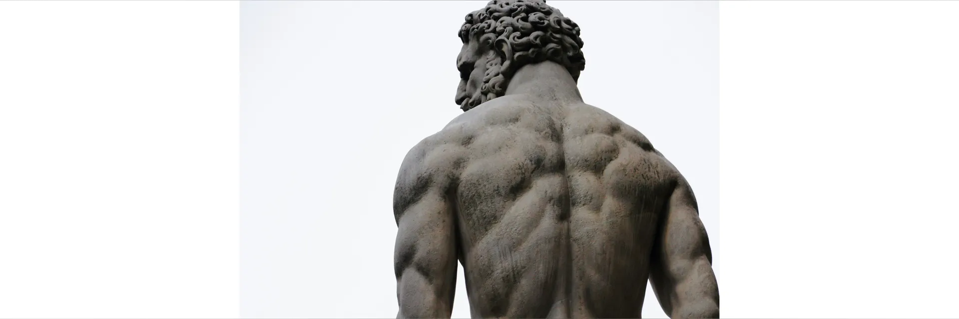 Vital Flesh OnlyFans header