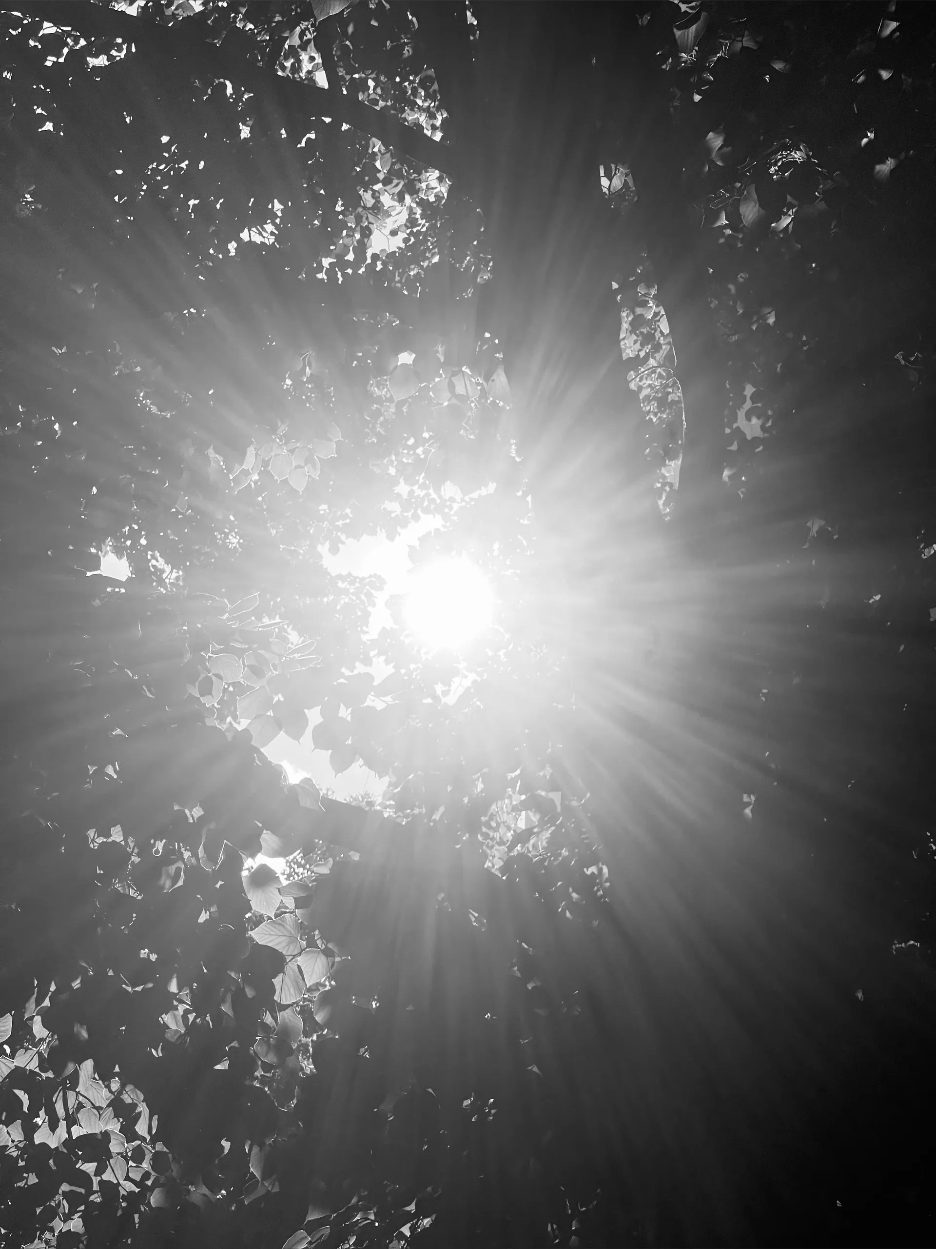 Vitaliia OnlyFans header