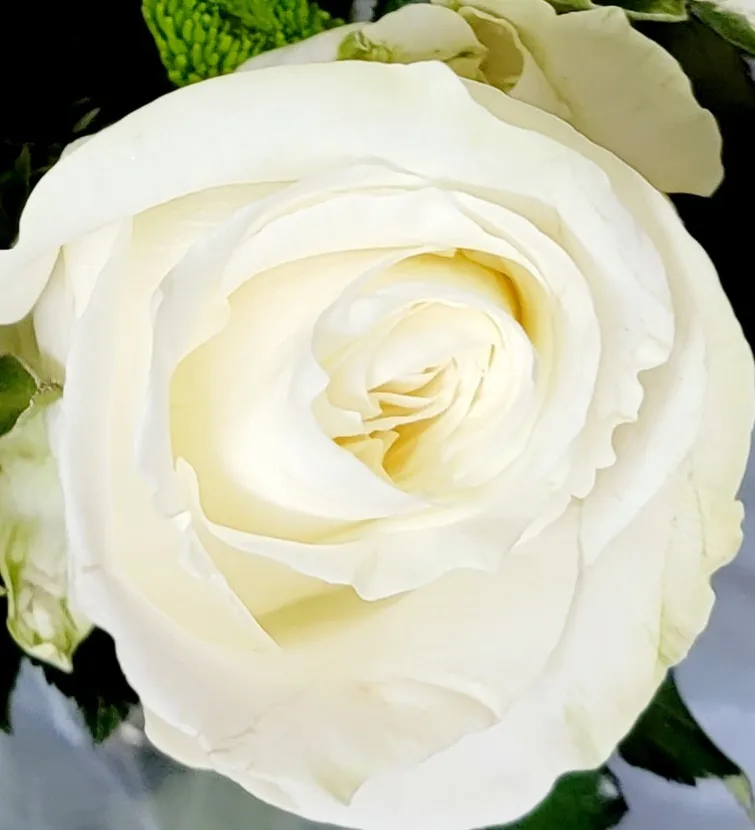 Vita Loquita OnlyFans header