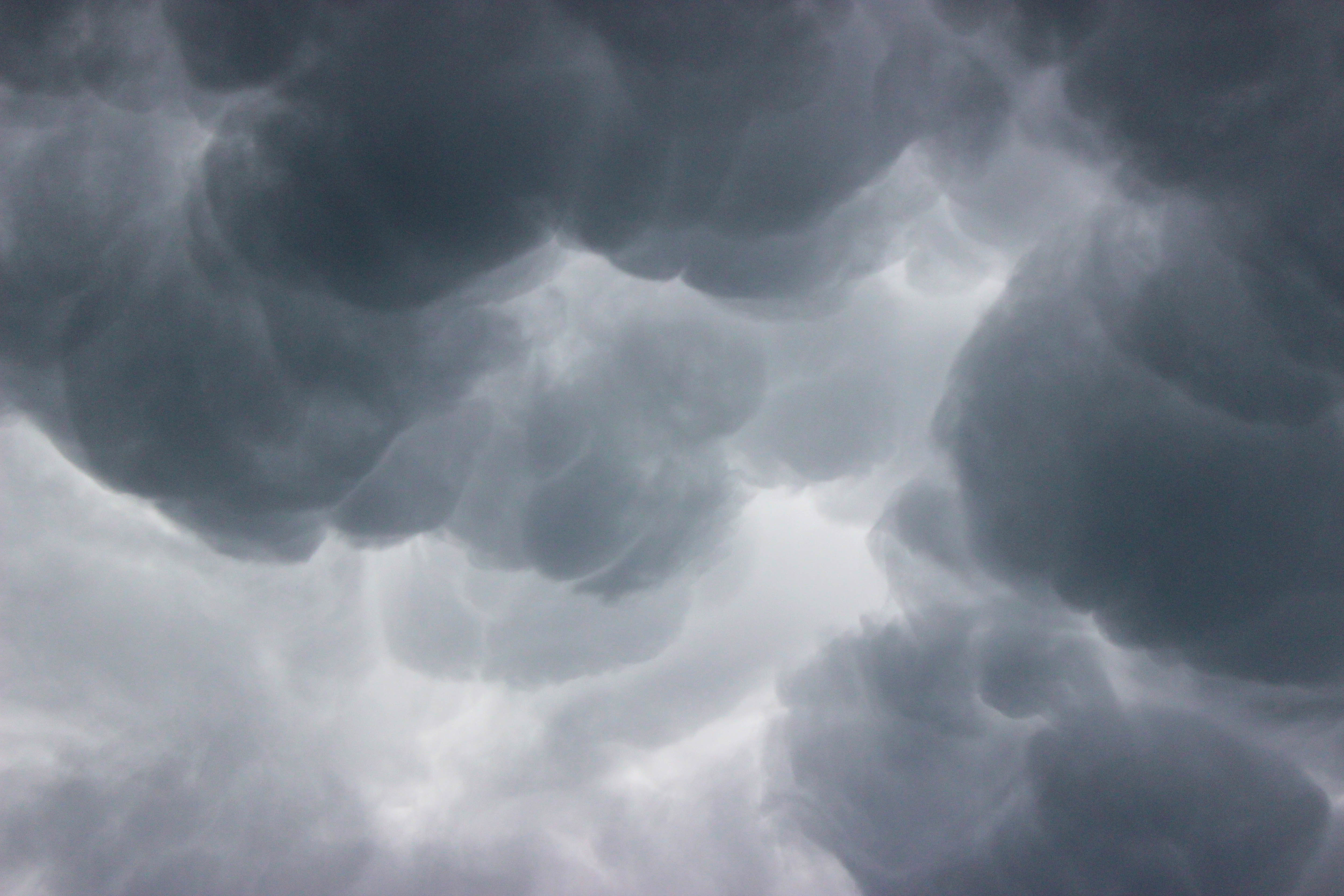 Vitamin D OnlyFans header