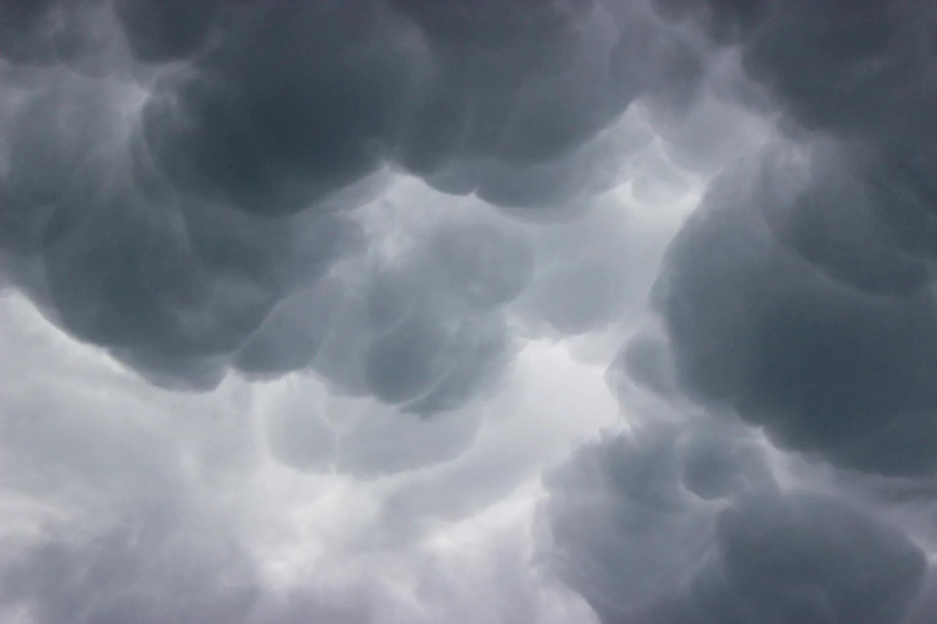 Vitamin D OnlyFans header