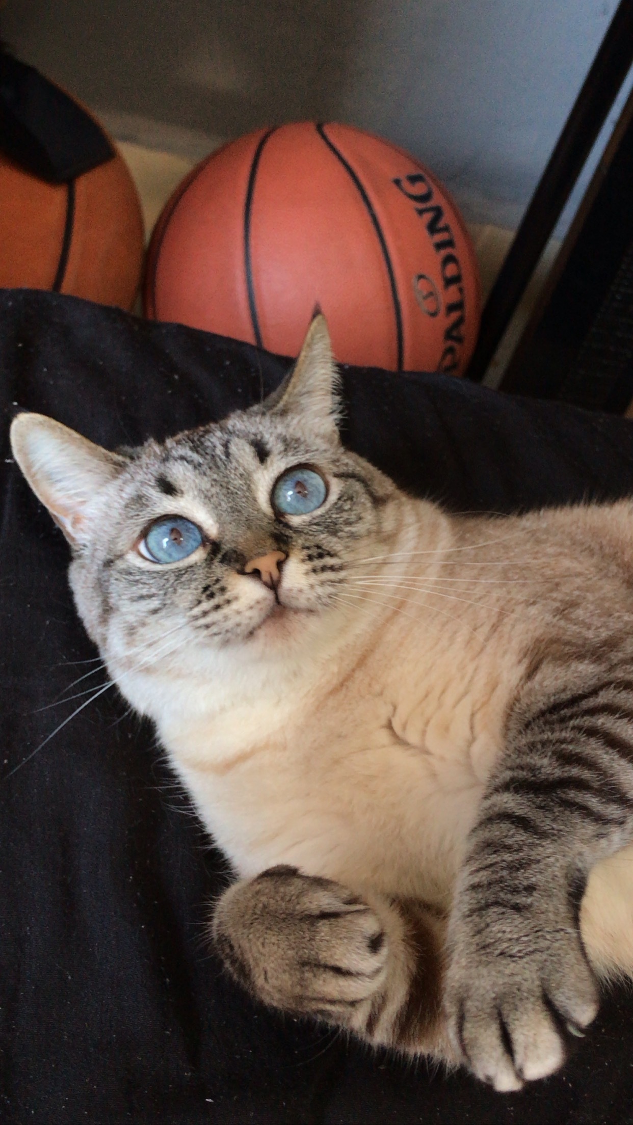 ❤️‍🔥 OnlyFans