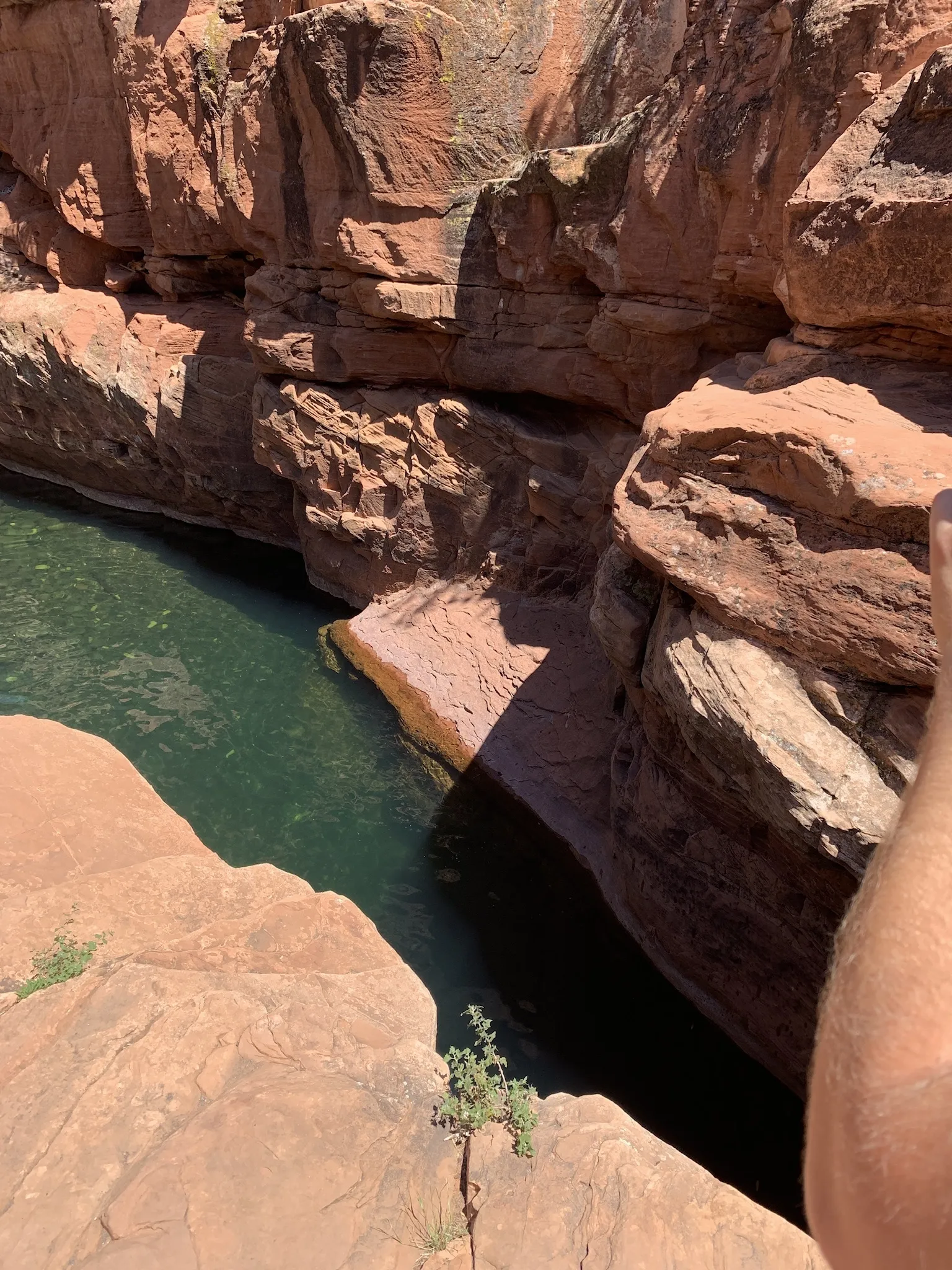 What You Wanna See OnlyFans header