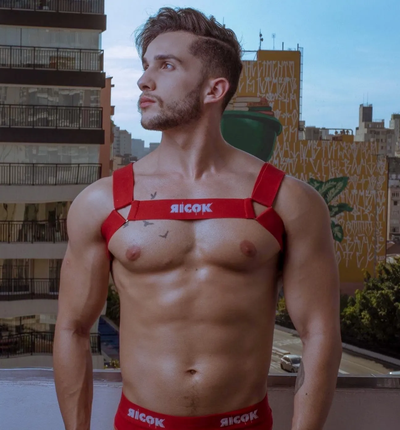 Vittor tomaz da silva