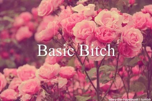 Vitsune OnlyFans header