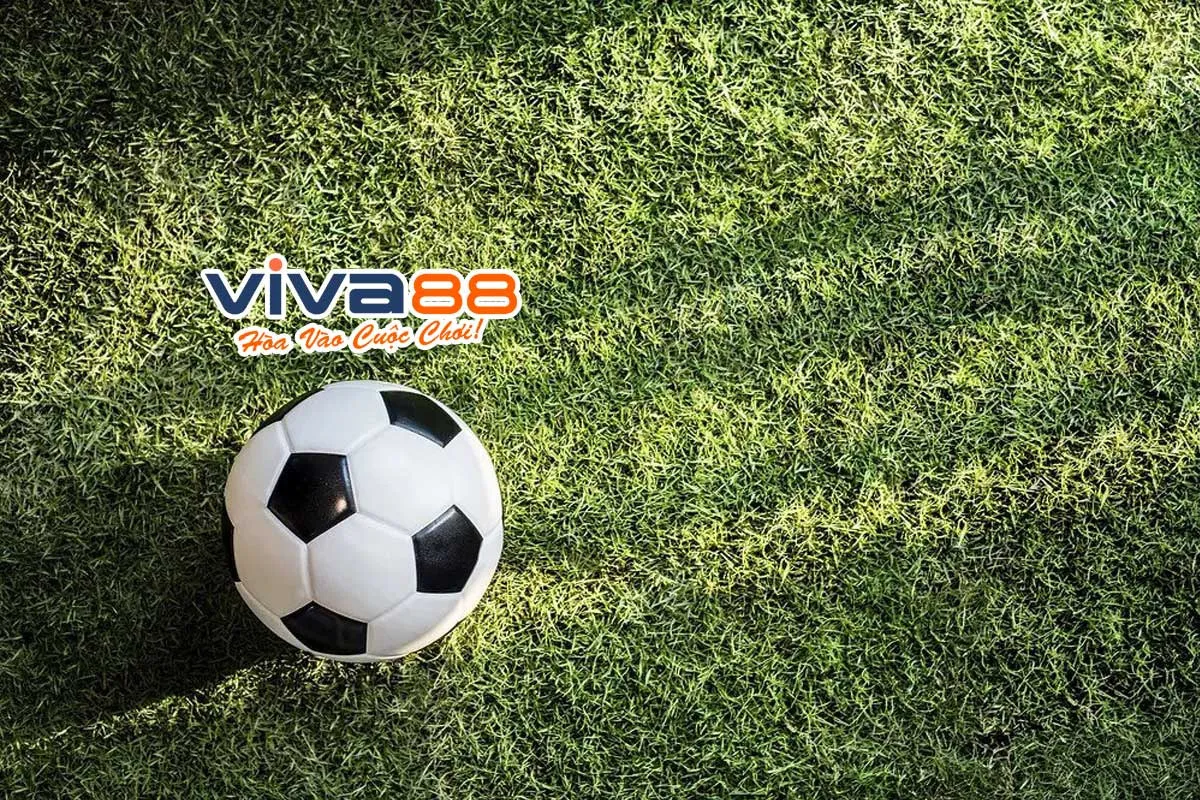 nhà cái Viva88 OnlyFans header