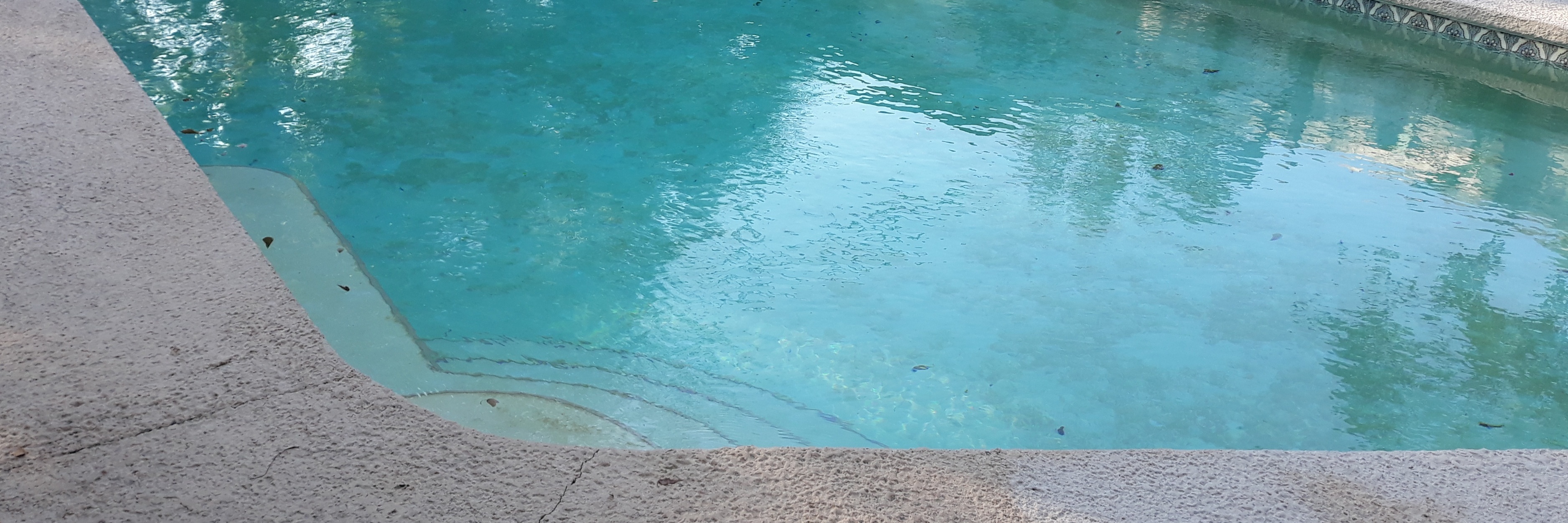 Vivacious OnlyFans header