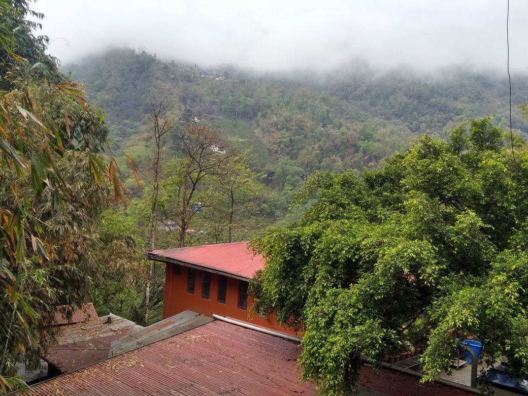 Vivian OnlyFans header