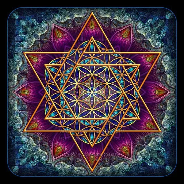 Vivian OnlyFans header