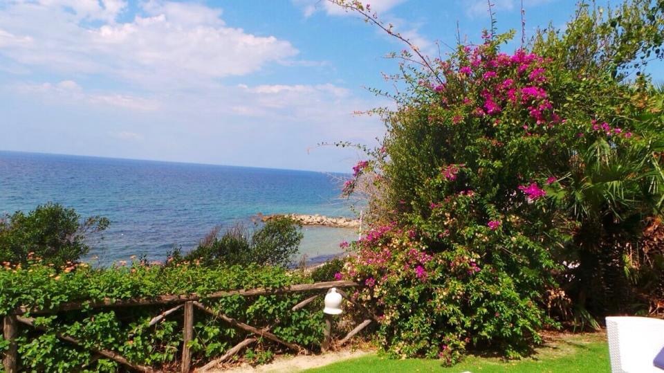 Vivian Nike OnlyFans header