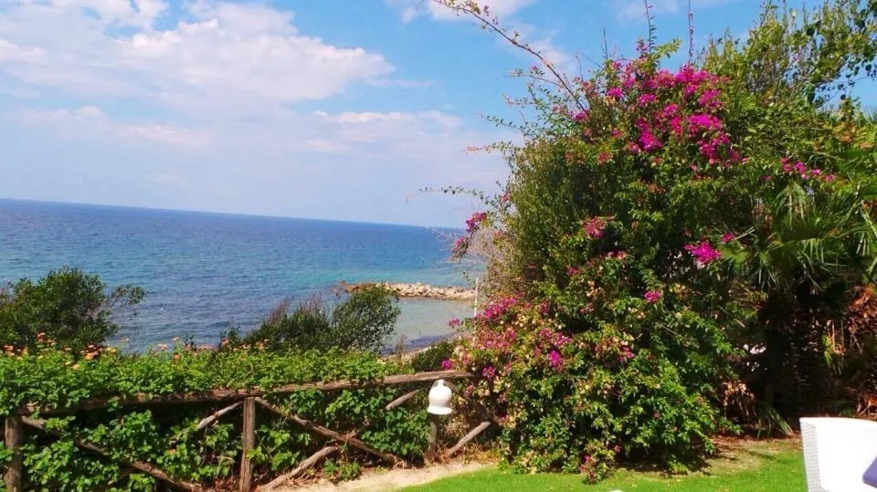 Vivian Nike OnlyFans header