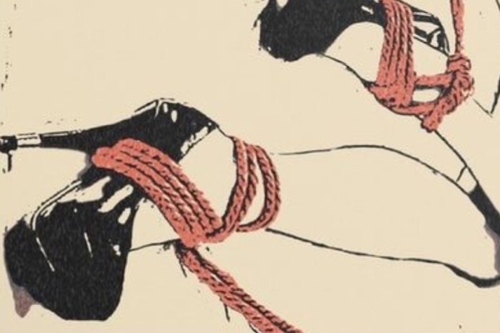 Vivid OnlyFans header