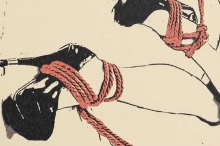 Vivid OnlyFans header