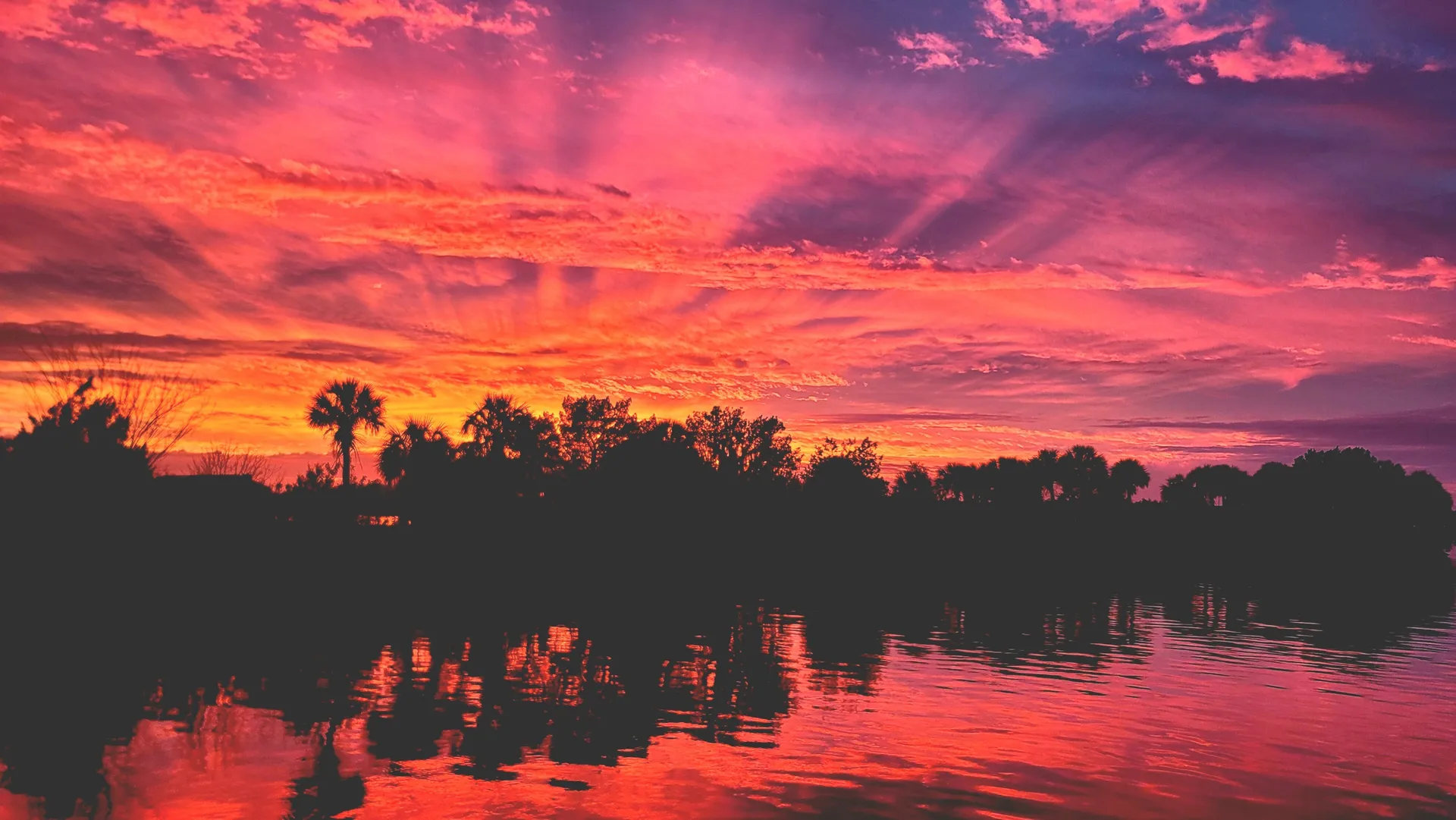 ☆ Ⱌî⋎îძℓỿ Ⱌî𝜒𝑒ກ ☆ OnlyFans header