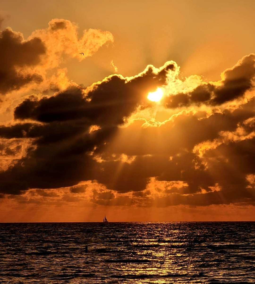 ★ Ⱌî⋎îძℓỿⰜ- ⰜIP ★ OnlyFans header