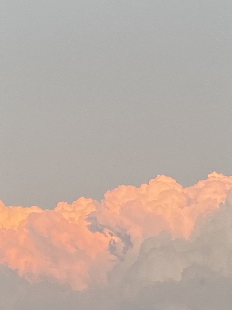 Vixa OnlyFans header