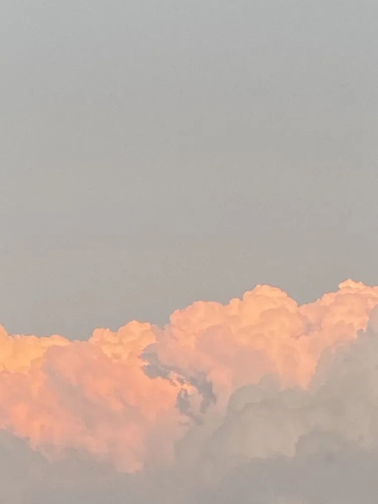 Vixa OnlyFans header