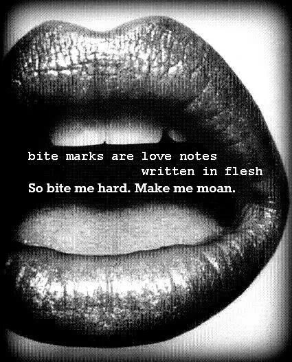 Vixen0808 OnlyFans header