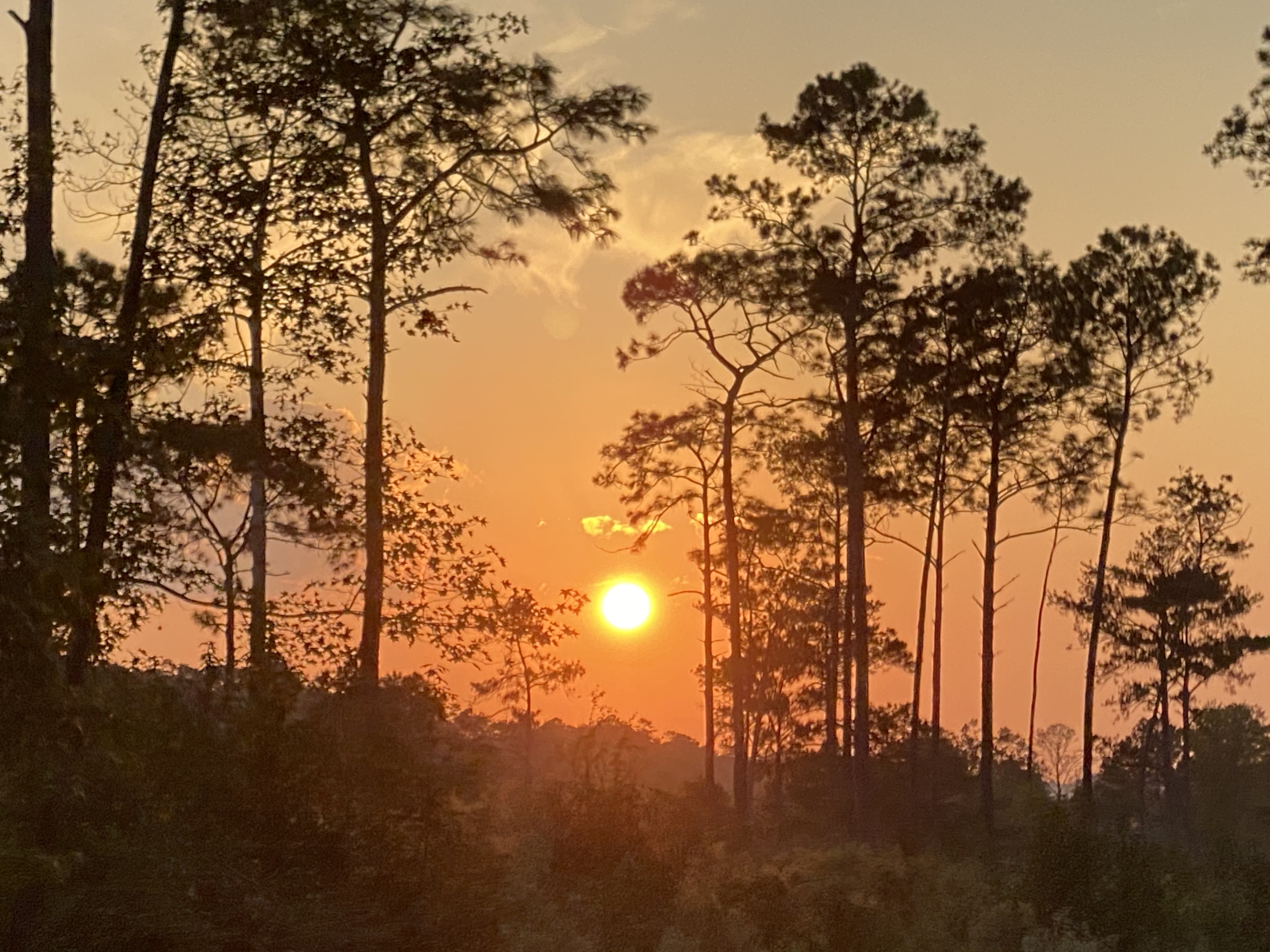 Vixen Fenrir OnlyFans header