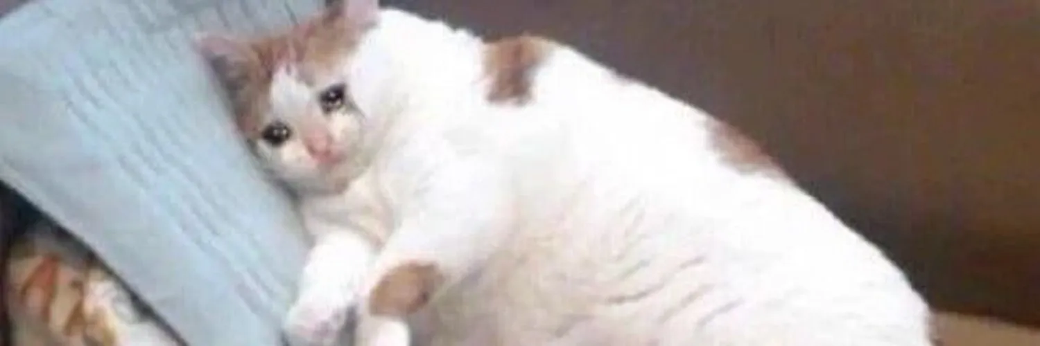 Kitty OnlyFans header