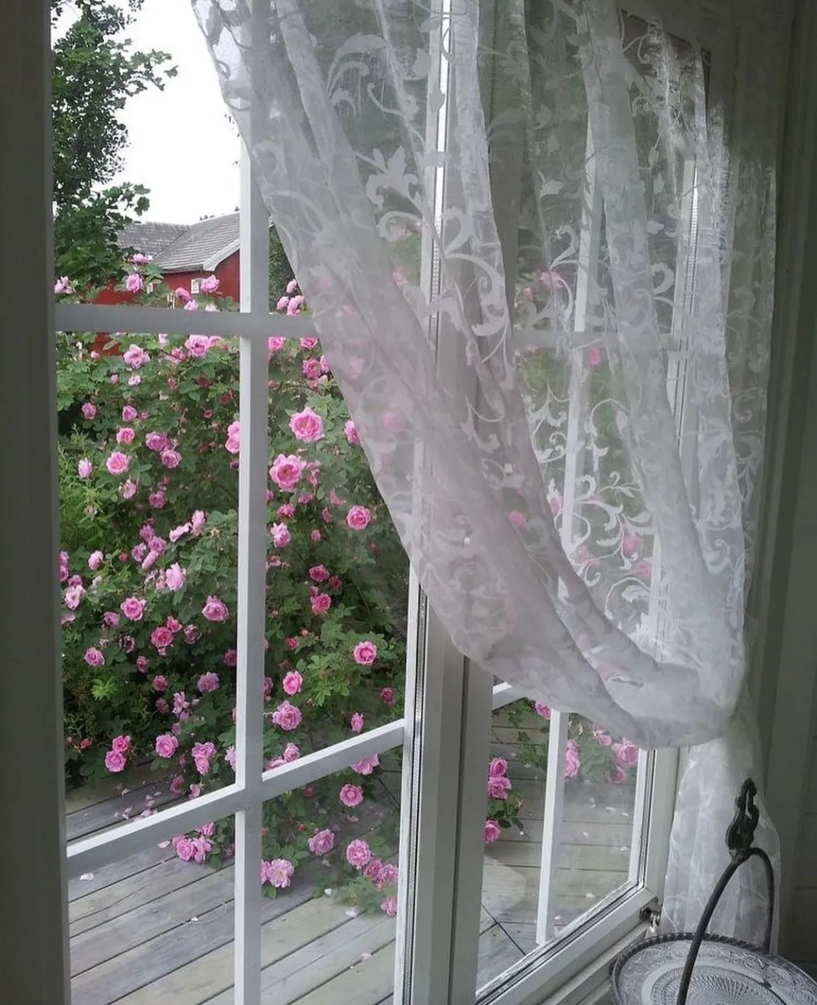 Mochi OnlyFans header