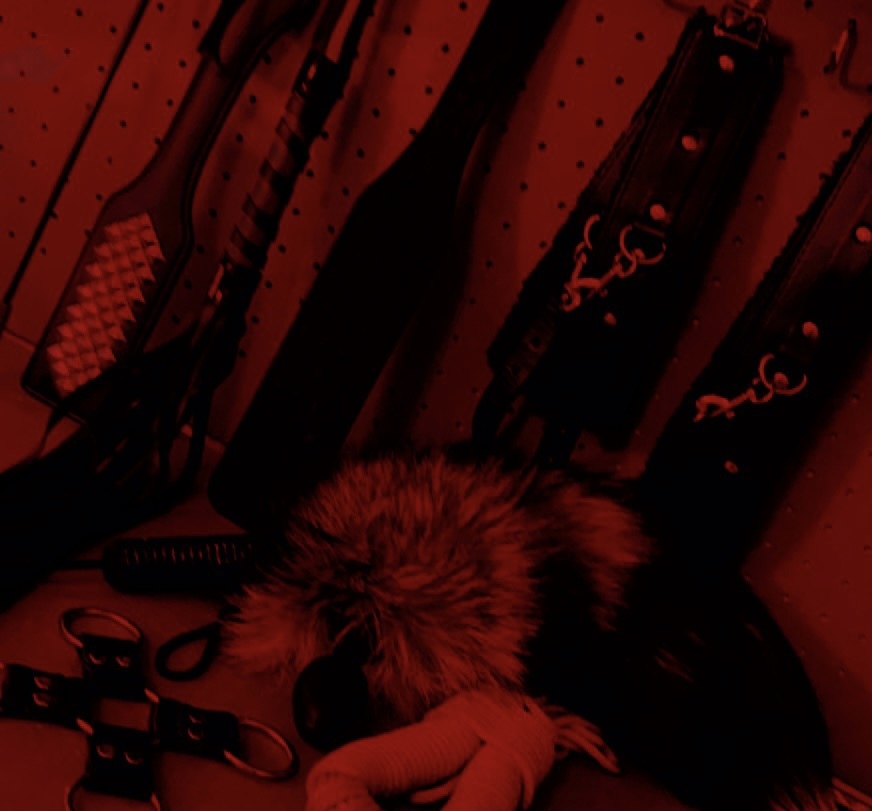 Dixie Rose OnlyFans header