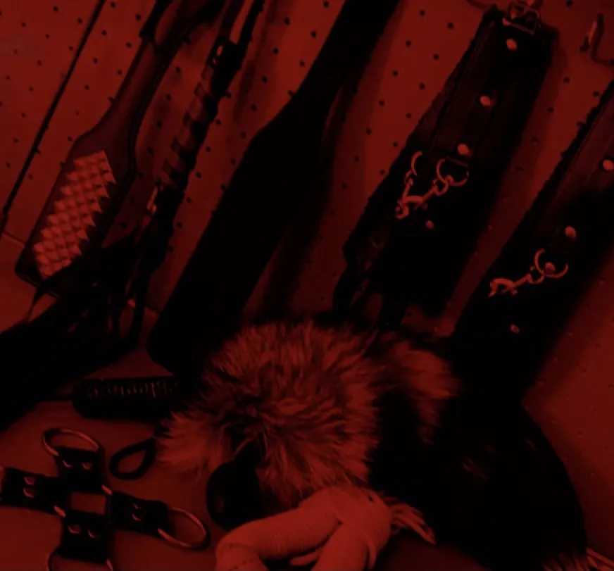 Dixie Rose OnlyFans header