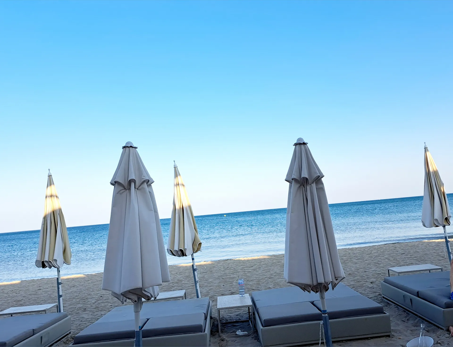 VixenIsabella OnlyFans header