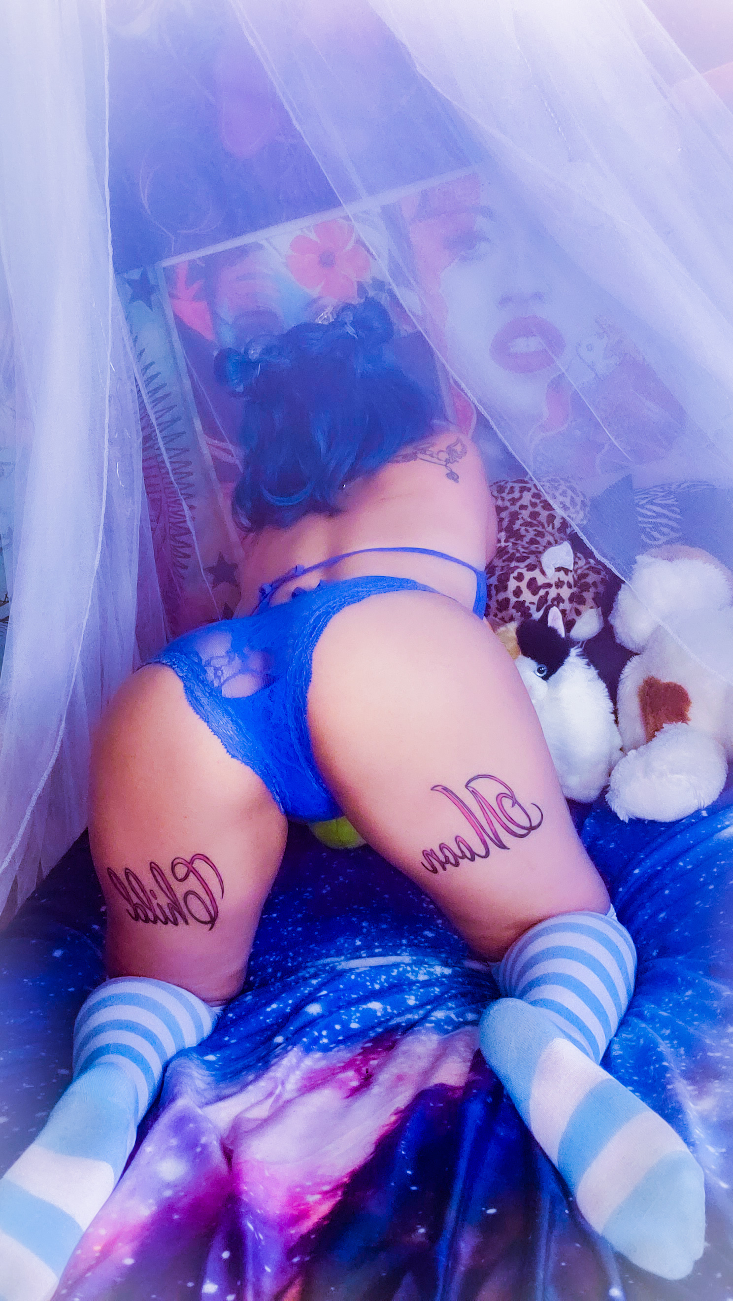 🌙🦇Vixen Moon 🦇🌙 OnlyFans header