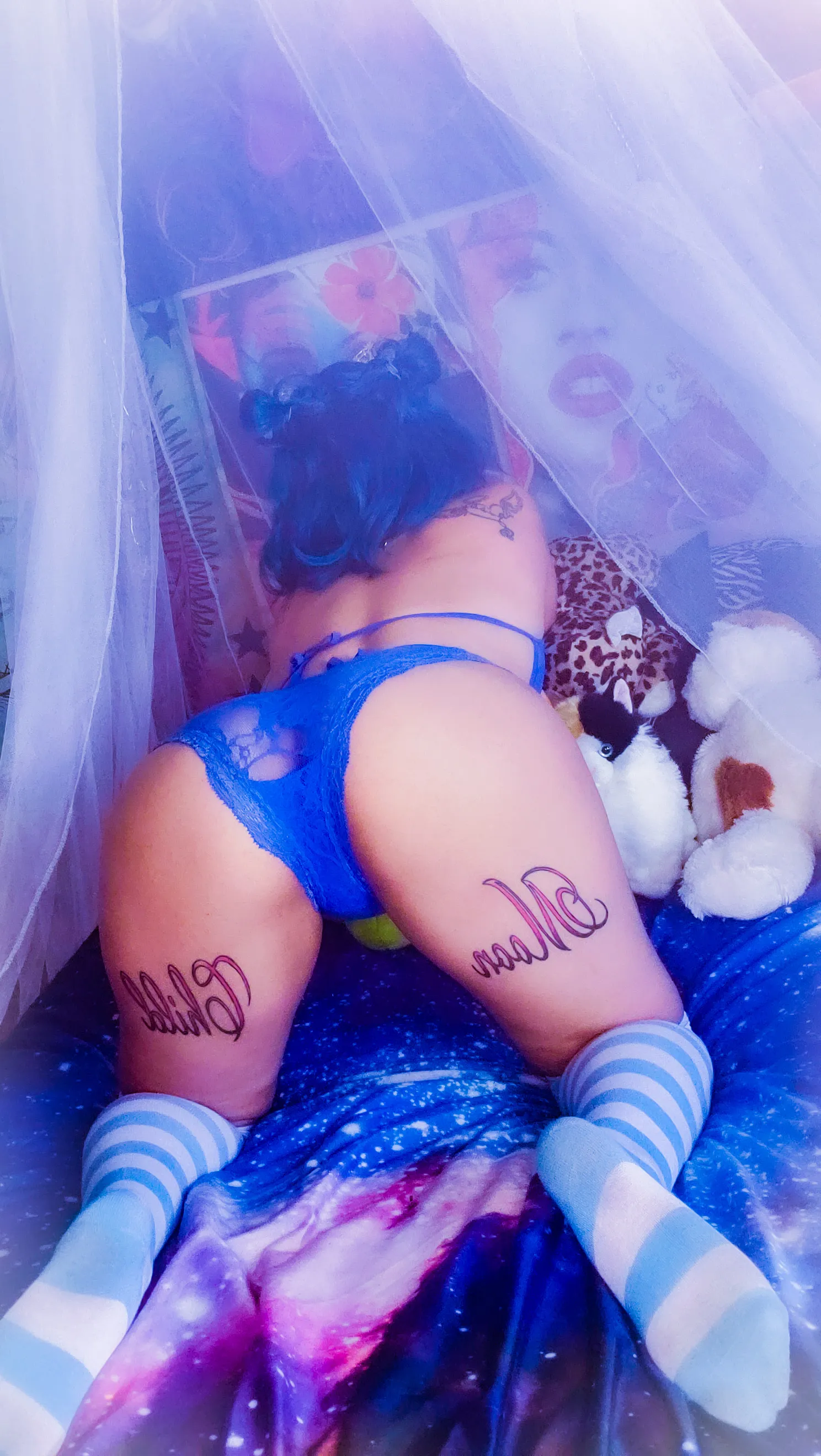🌙🦇Vixen Moon 🦇🌙 OnlyFans header