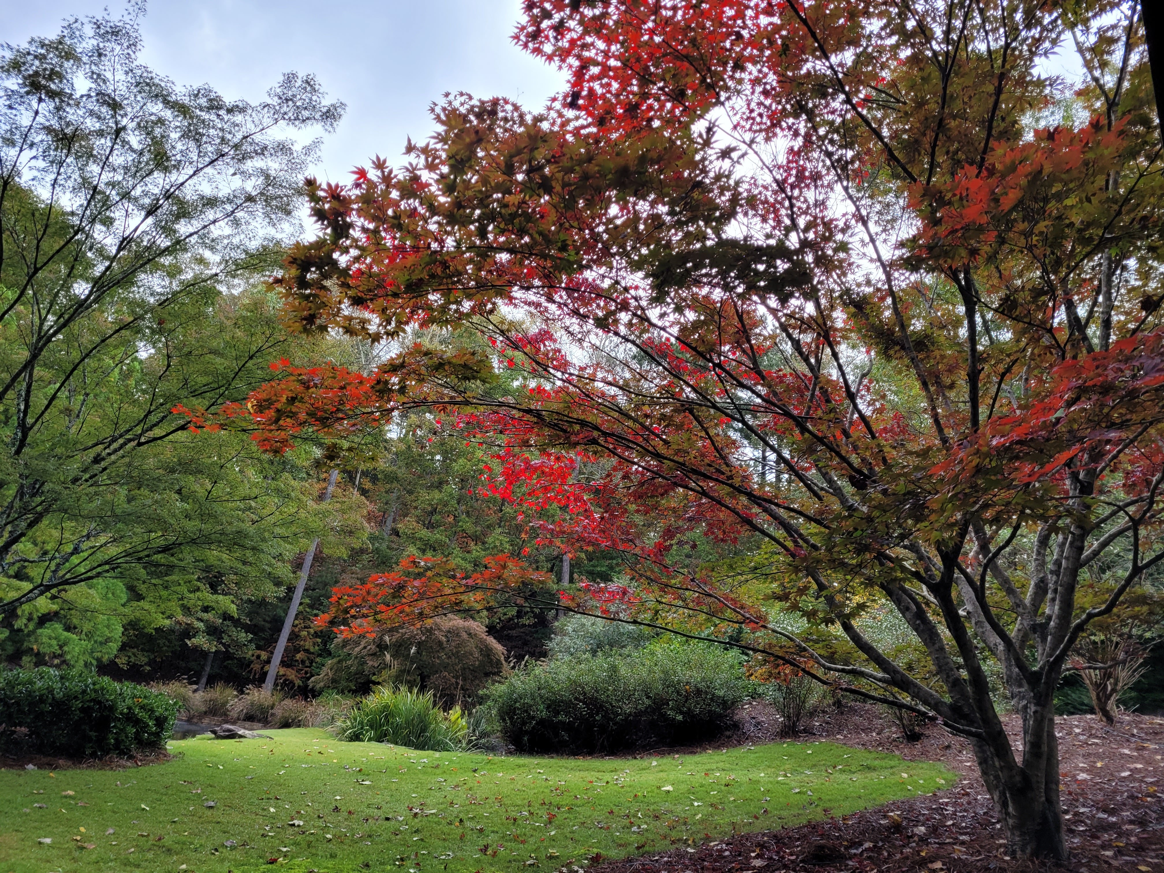 Vixen OnlyFans header