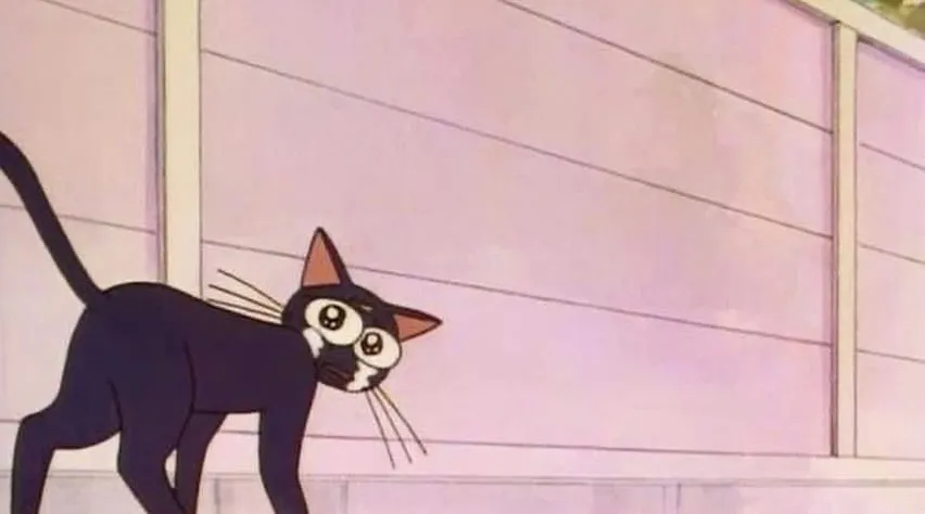 Vixx Shi OnlyFans header