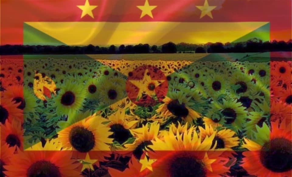 Grenadian_vixxen OnlyFans header