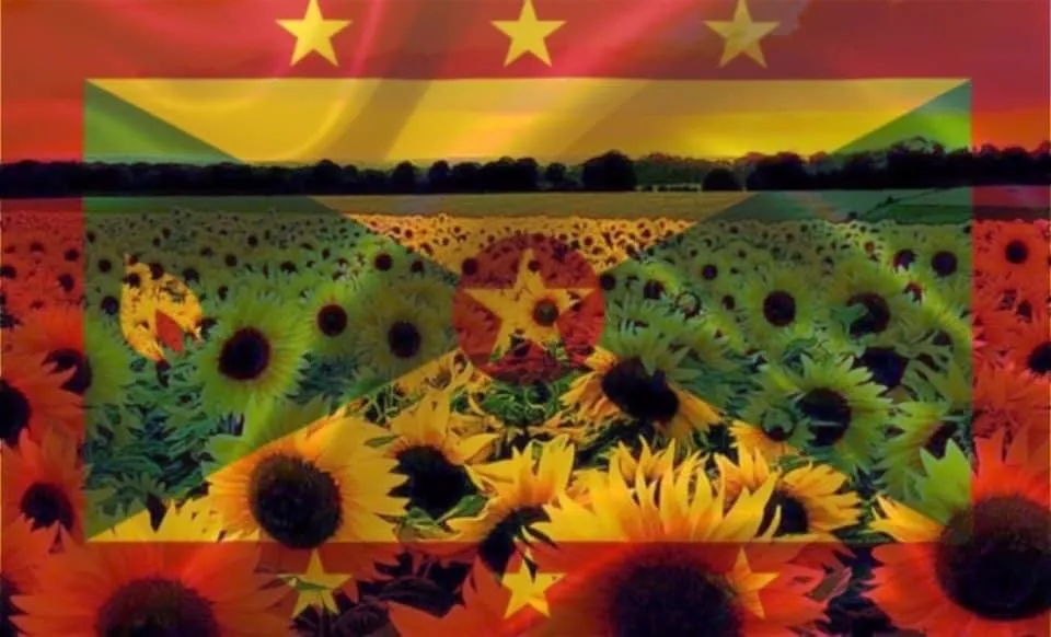 Grenadian_vixxen OnlyFans header