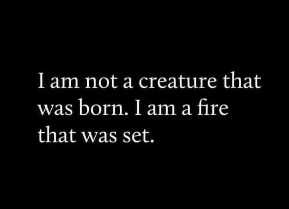 VJ West OnlyFans header