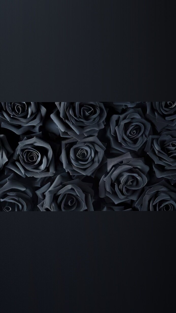 𝑽𝑲𝑨𝑱𝑼𝑺𝑨 𝑭𝒓𝒆𝒆 OnlyFans header