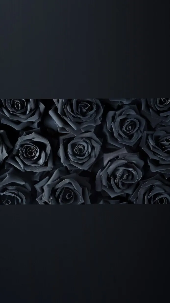 𝑽𝑲𝑨𝑱𝑼𝑺𝑨 𝑭𝒓𝒆𝒆 OnlyFans header