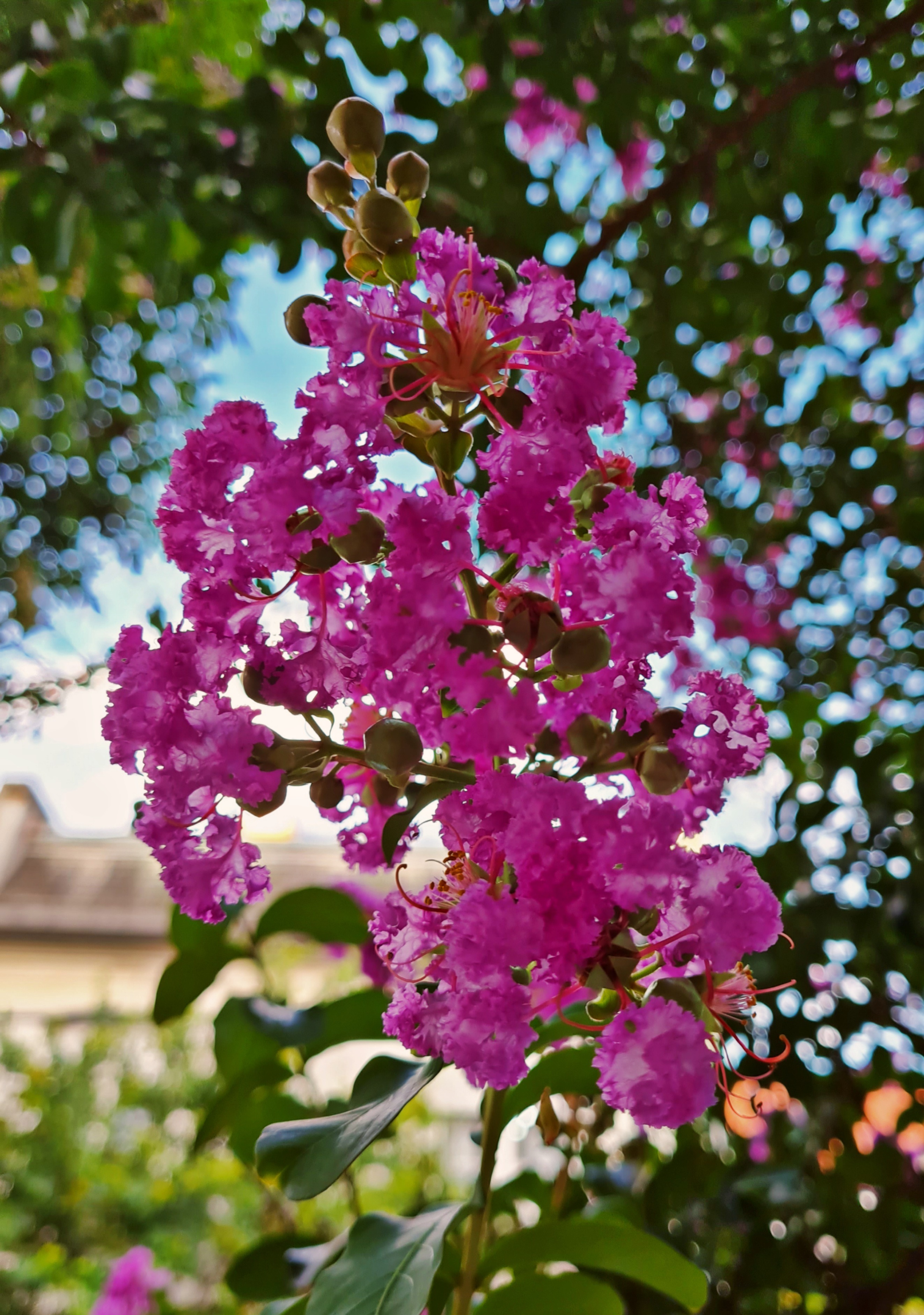 Blackbeibi OnlyFans header