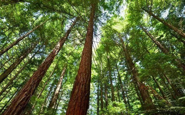 Vlish OnlyFans header