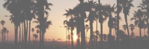 Skrill OnlyFans header