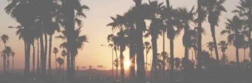 Skrill OnlyFans header