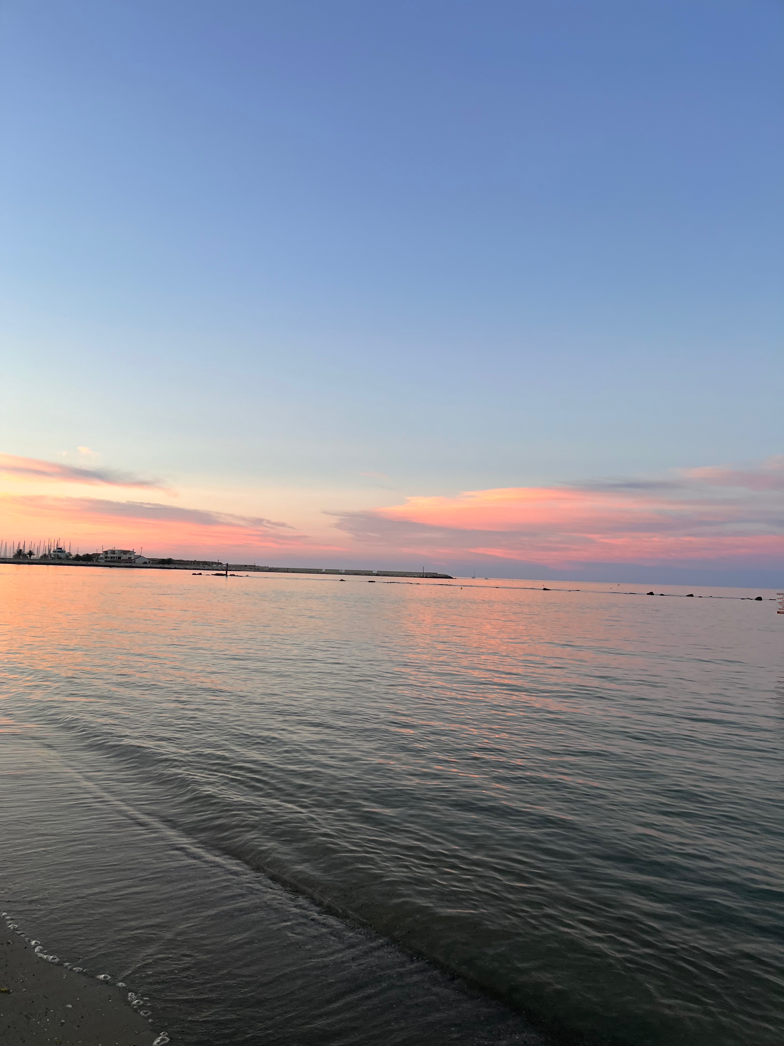 vmichii OnlyFans header