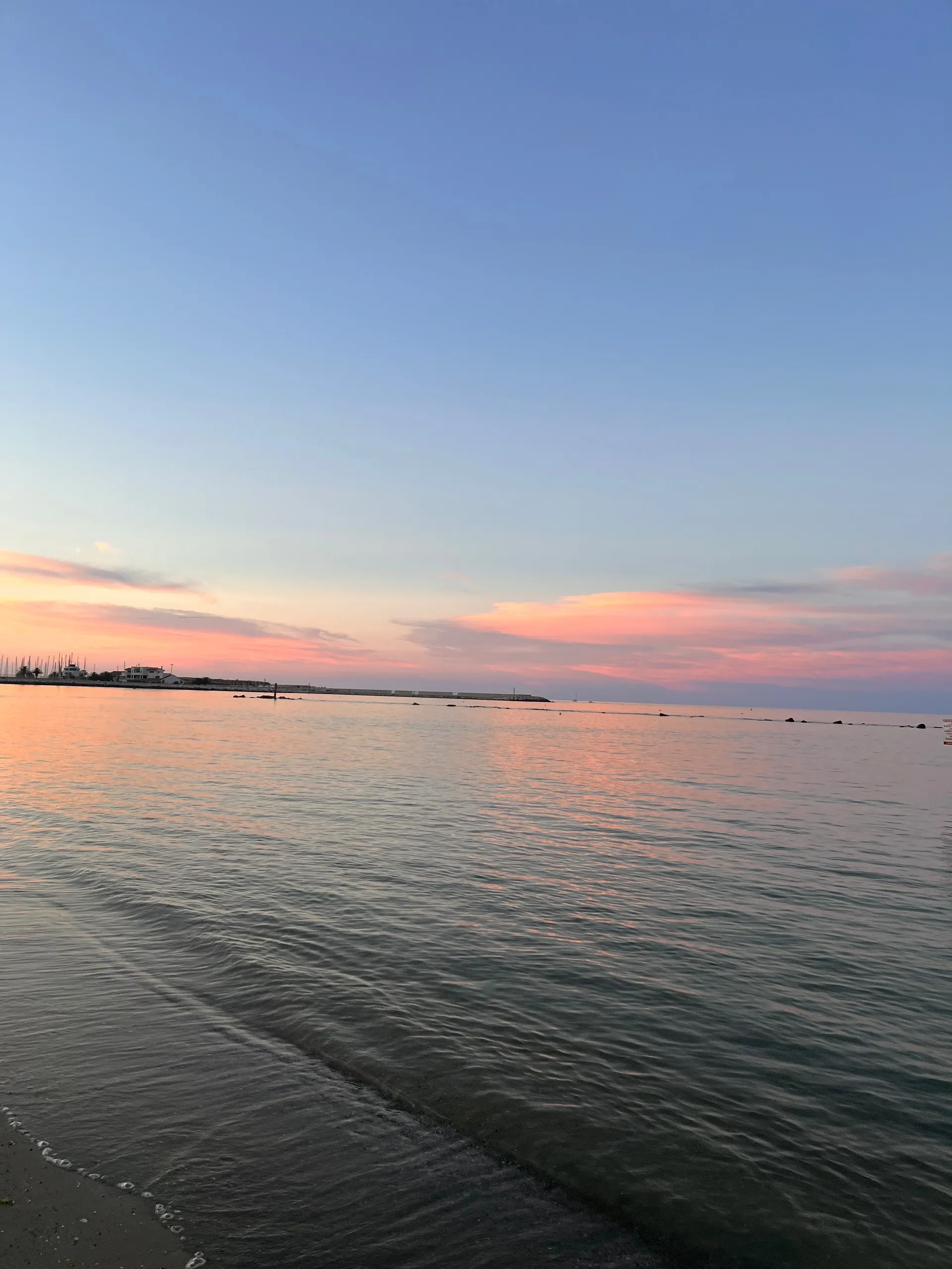 vmichii OnlyFans header