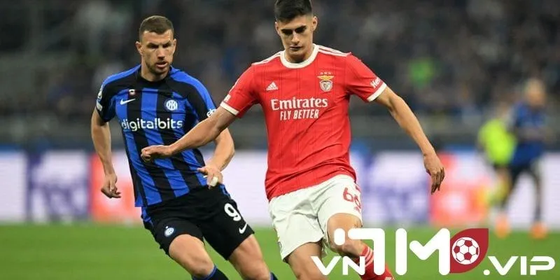 vn7mvip OnlyFans header