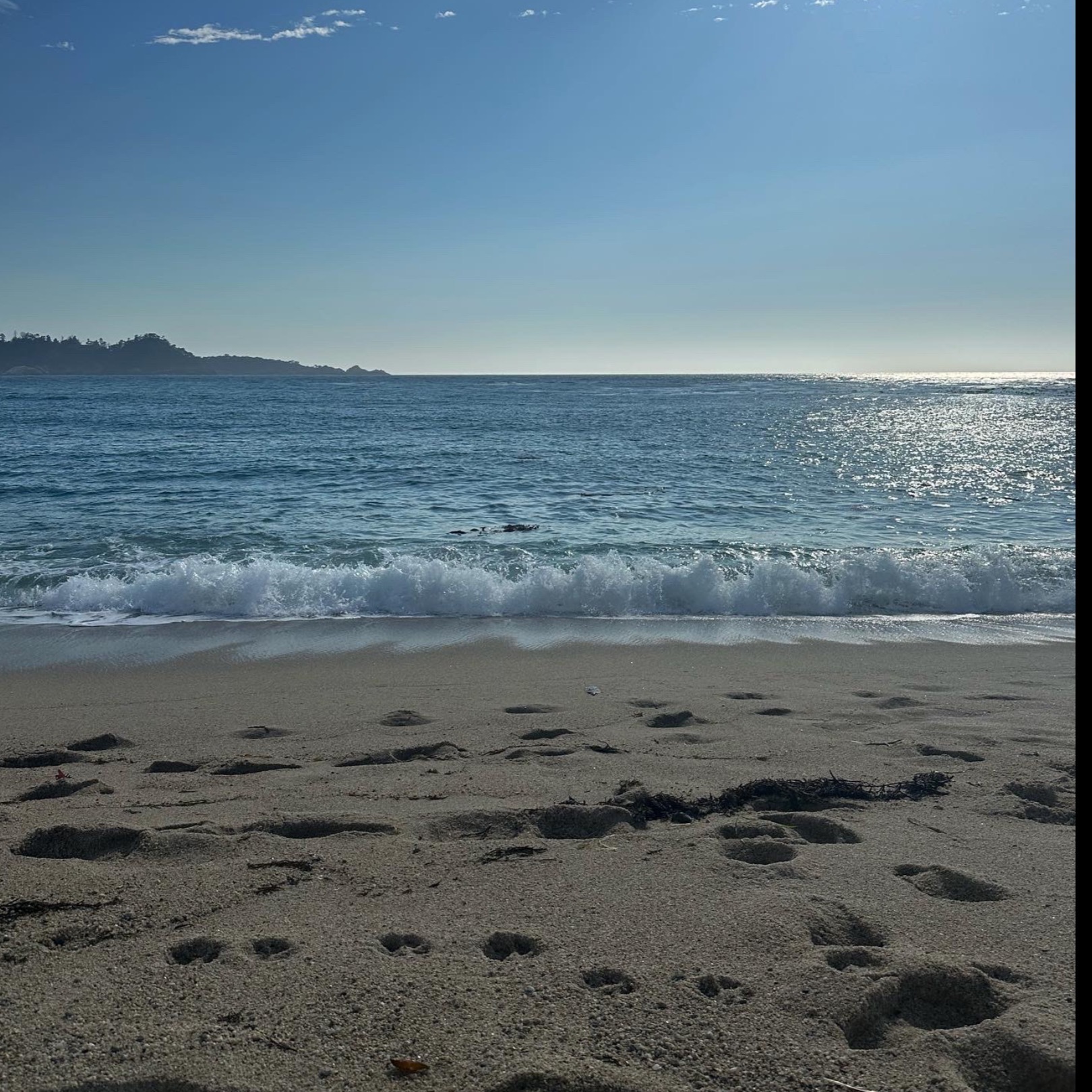 Nita OnlyFans header