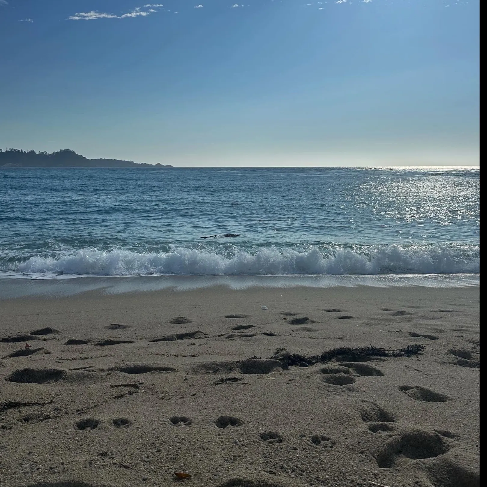 Nita OnlyFans header