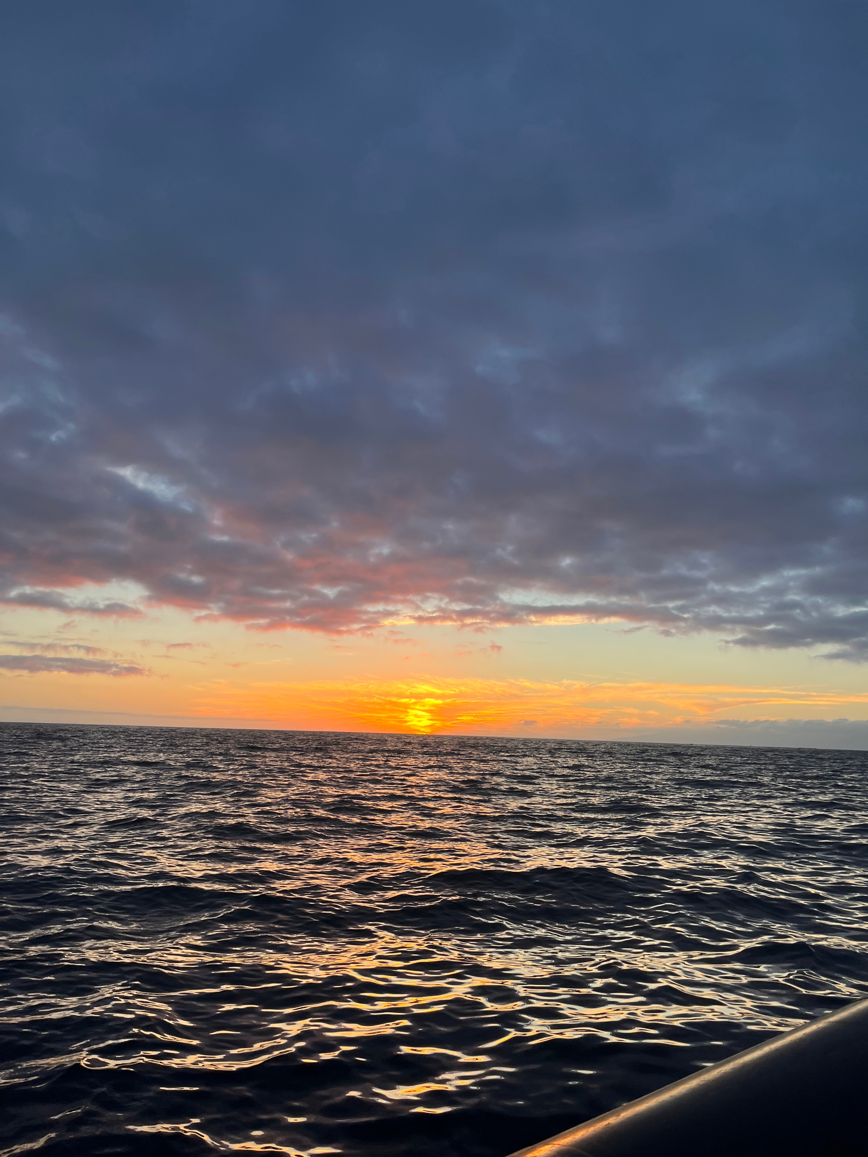 Jess OnlyFans header