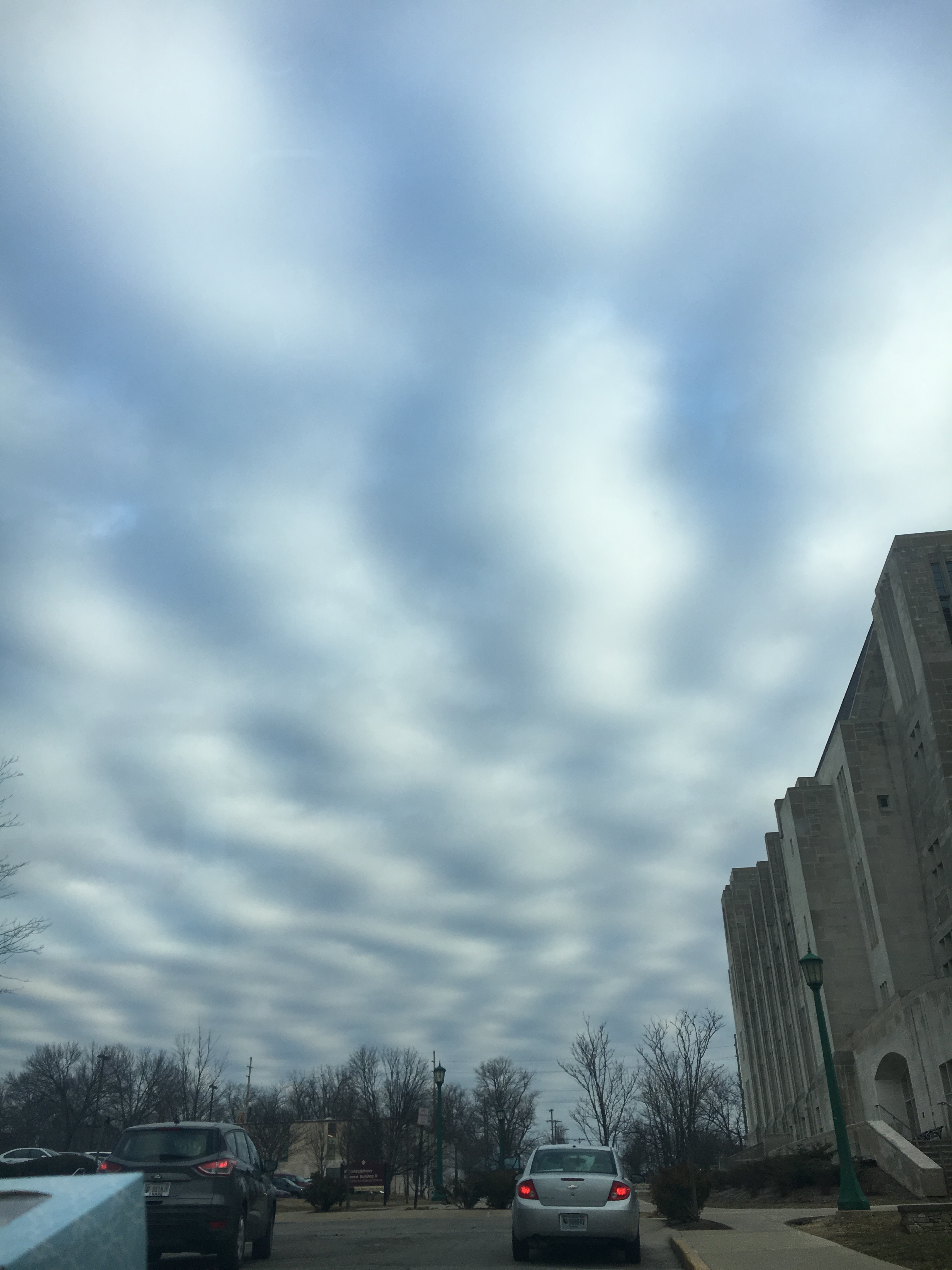 Vogue China OnlyFans header